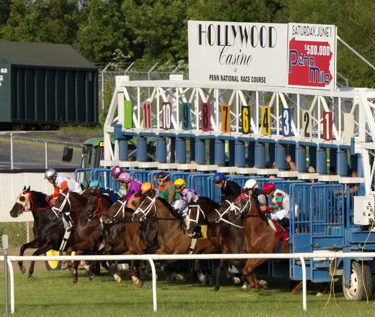 PEN.Starting gate03.6-1-13.BL_.jpg