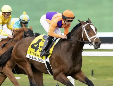 Major Dude, Two Phil's switch to Tapeta for Jeff Ruby Steaks