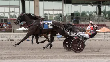 The Meadows:  Victorianas Secret, Faster Horses prevail in Currier & Ives