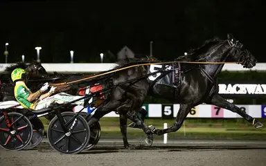 Meadowlands:  Hambletonian hopeful Inexpressable looks to make noise