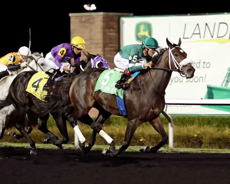 REAGAN'S FLAME - The Presque Isle Masters Stakes - G2 - 09-18-26 - R09 - Presque Isle Downs - Finish 05 - Ashley Phillips 
