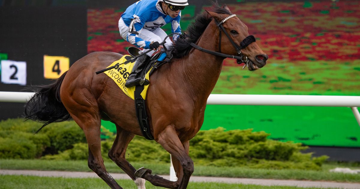 Artemus Citylimits gives trainer Cheung first stakes victory with Vice Regent