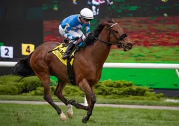 Artemus Citylimits gives trainer Cheung first stakes victory with Vice Regent