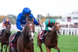 Ascot: Ombudsman may be BC-bound after solid victory in Champion Stakes