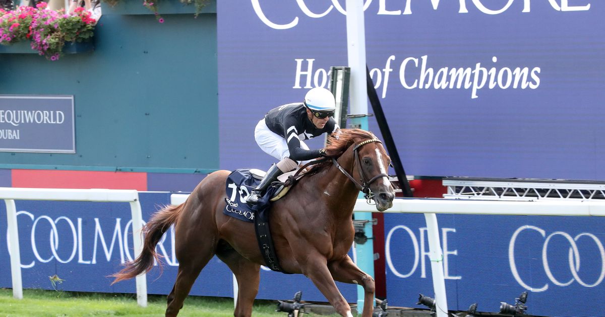 Bacio dazzles in Nunthorpe victory