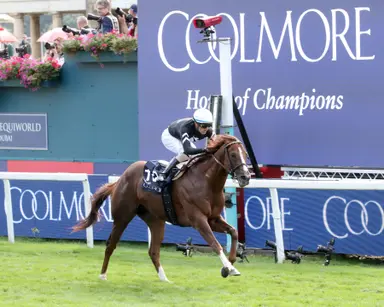 Bacio dazzles in Nunthorpe victory