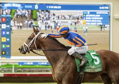 Connections pondering Journalism's route to Breeders' Cup Classic