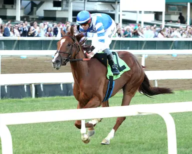 Pick six carryover at $80,363 for Saturday