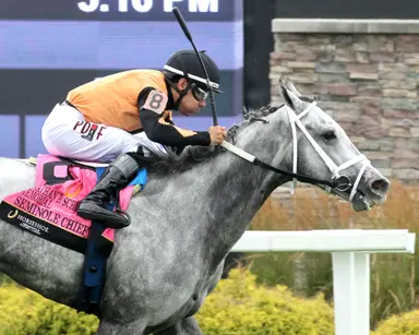 Seminole Chief prevails in Jonathan Schuster Memorial; In The Stars shines bright in Indiana General Assembly Distaff