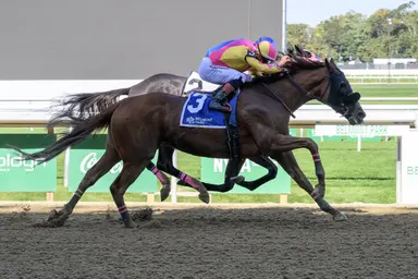 Valtellina gets by Bernietakescharge again in Empire Distaff