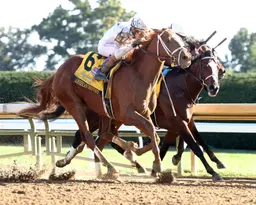 American History grinds out win in Breeders' Futurity over heavily favored Coach Pope