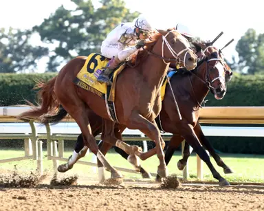 American History grinds out win in Breeders' Futurity over heavily favored Coach Pope