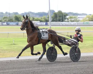 Harness: Smedshammer still Hambletonian dreamin'