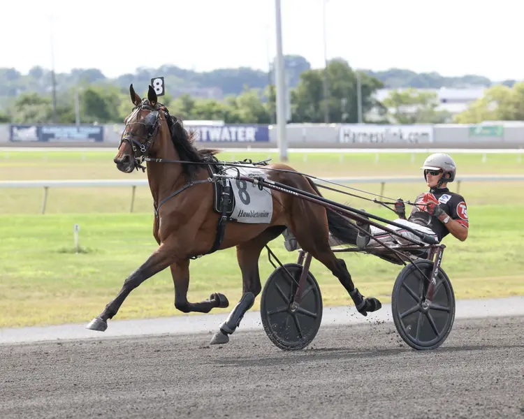 Walspea_Hambletonian Oaks_02.jpg