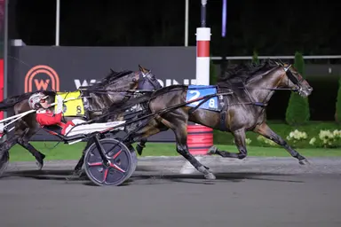 Woodbine Mohawk Park:  Super Chapter reigns in Maple Leaf Trot final