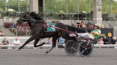 The Meadows:  Dream Shaq, Red Andray reign in Pennsylvania Sire Stakes