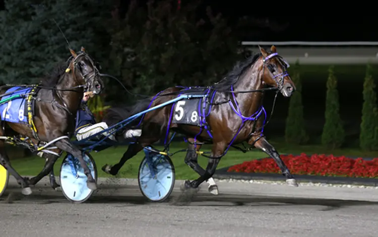 Beau Jangles 9-20-25