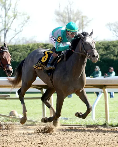 Preakness 2025: Gosger can expand Harvey Clarke Racing Stable's legacy