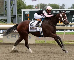 Bodacious Bay answers questions with Cotillion Stakes victory