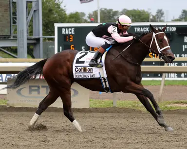 Bodacious Bay answers questions with Cotillion Stakes victory