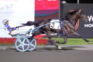 Woodbine Mohawk Park:  2YO pacers clash in Nassagaweya, Eternal Camnation Stakes