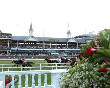 DRF's Horse Racing Playbook for Thursday, Sept. 17, 2026