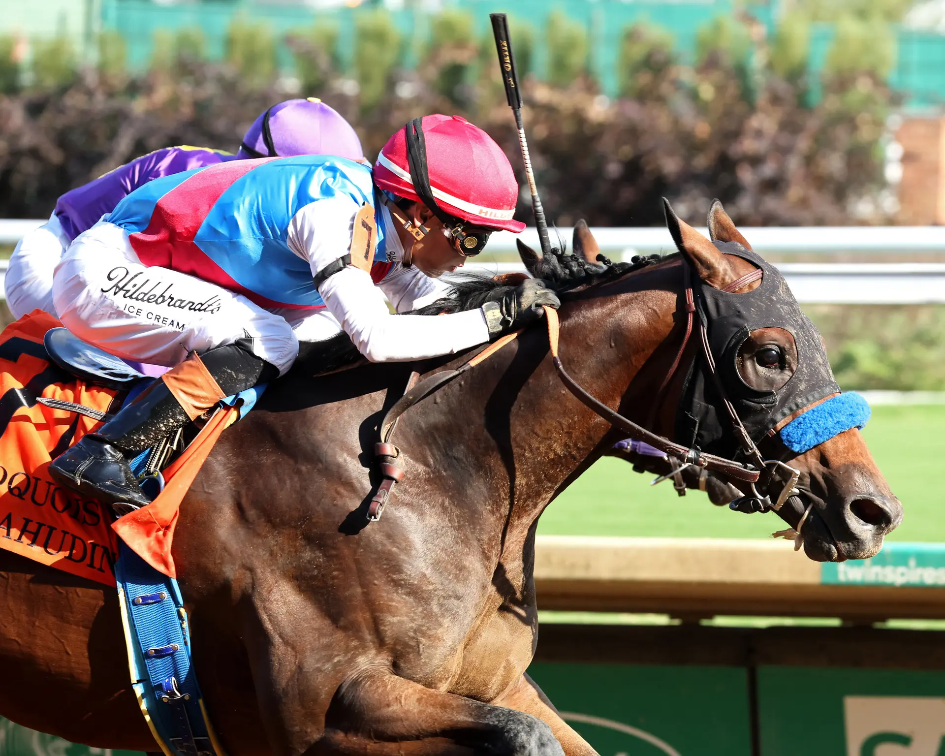 Salahudin improves to 3 for 3 with Iroquois Stakes triumph