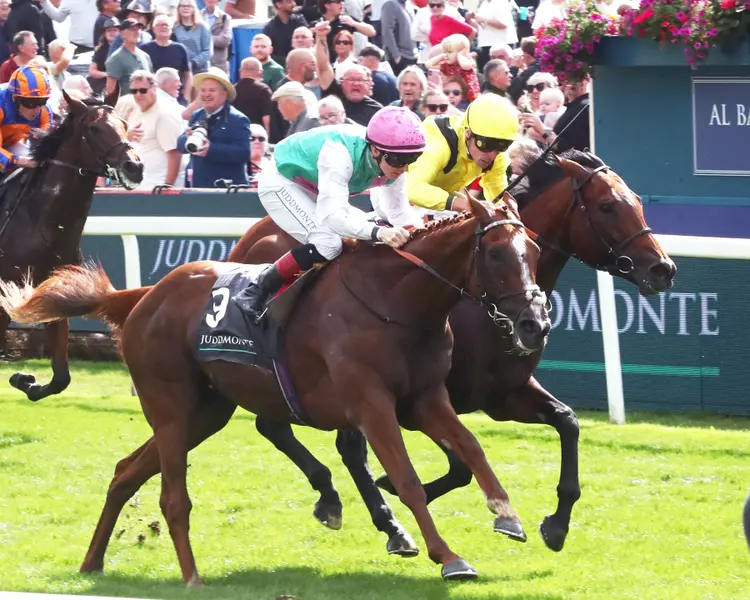Item - Juddmonte International Stakes Group 1 - York Racecourse - 081926 - Race 04 - Finish 02 - Renee Torbit