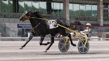 The Meadows:  Post positions drawn for Grade 1 Delvin Miller Adios final