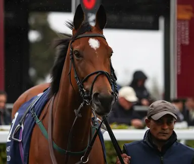 Highfield Princess looks to repeat in Flying Five, eyes another Breeders' Cup try