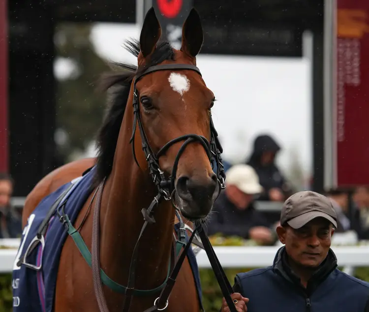 Highfield Princess01.09-11-22.JUW_.jpg