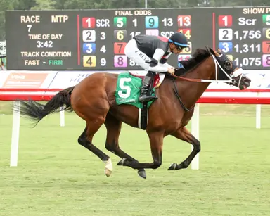 Unbeaten on turf, Banksy's should provide more value than favored Go Grey