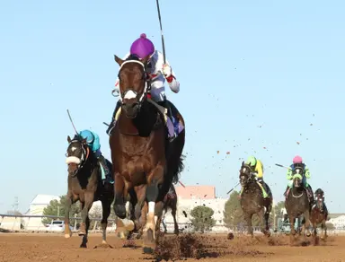 Repeat win in Cornhusker for Cornishman won't come at a price this time