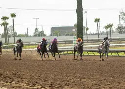 Betting handle down 5.7 percent at Los Alamitos summer meet
