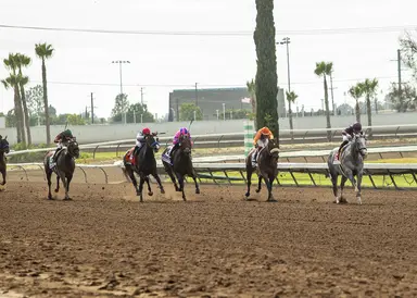 Betting handle down 5.7 percent at Los Alamitos summer meet