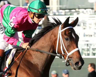 Agate enters BC Juvenile Turf discussion with Bourbon Stakes victory