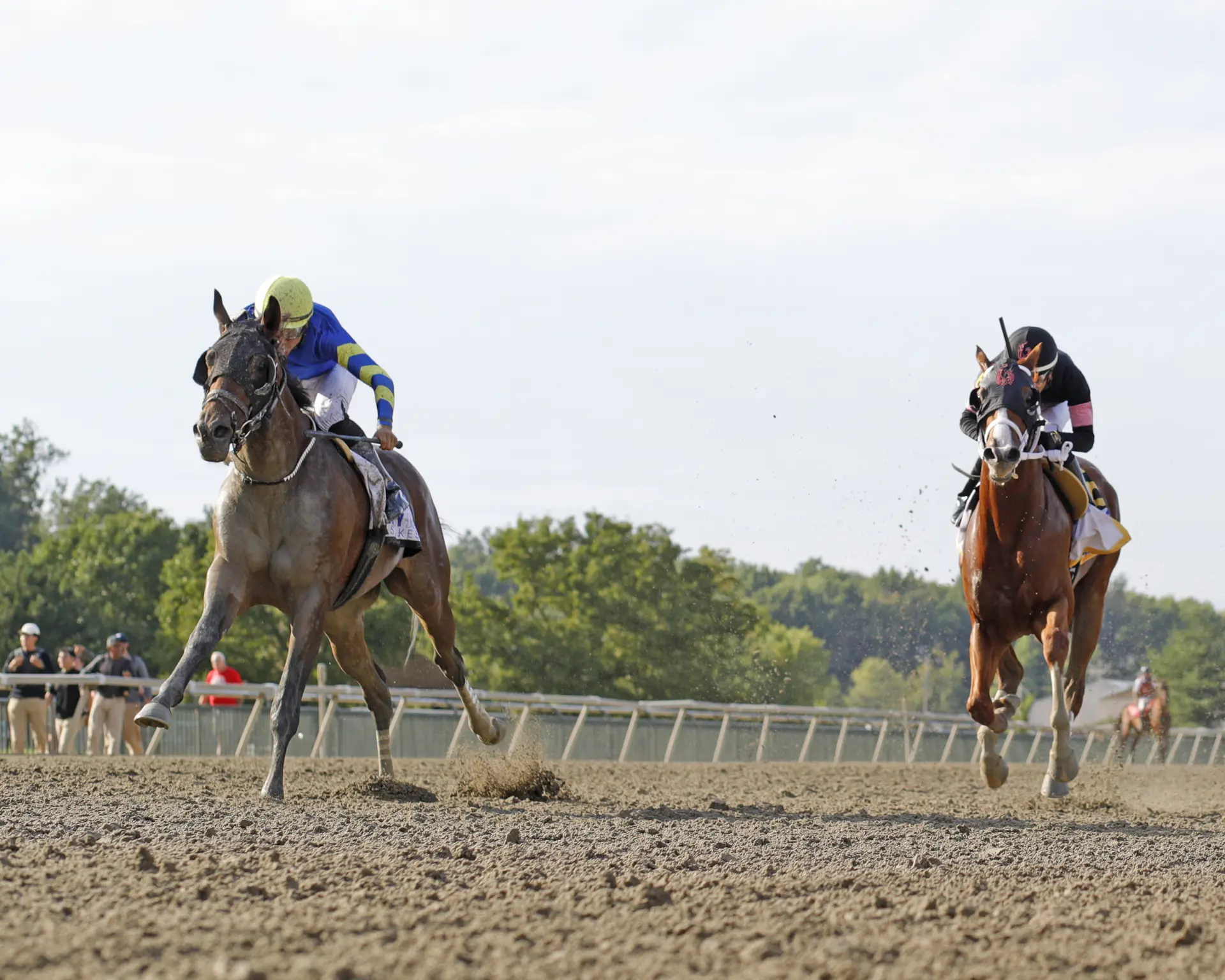 Once an $8,000 claim, Micanopy set for Pennsylvania Derby after Smarty Jones win