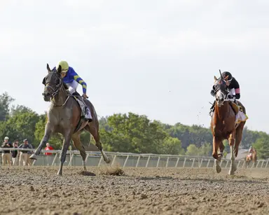 Once an $8,000 claim, Micanopy set for Pennsylvania Derby after Smarty Jones win
