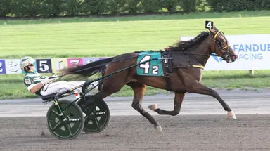 Meadowlands:  Two-year-olds battle in New Jersey Sire Stakes opener