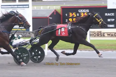 Plainridge:  Sophomores meet up in Massachusetts Breeders Stakes