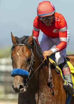 Secured Freedom possible for Oklahoma Derby