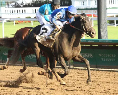 Wharfie goes last to first in Rags to Riches