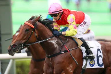 My Wish tackles Romantic Warrior, Voyage Bubble in Citi Hong Kong Gold Cup