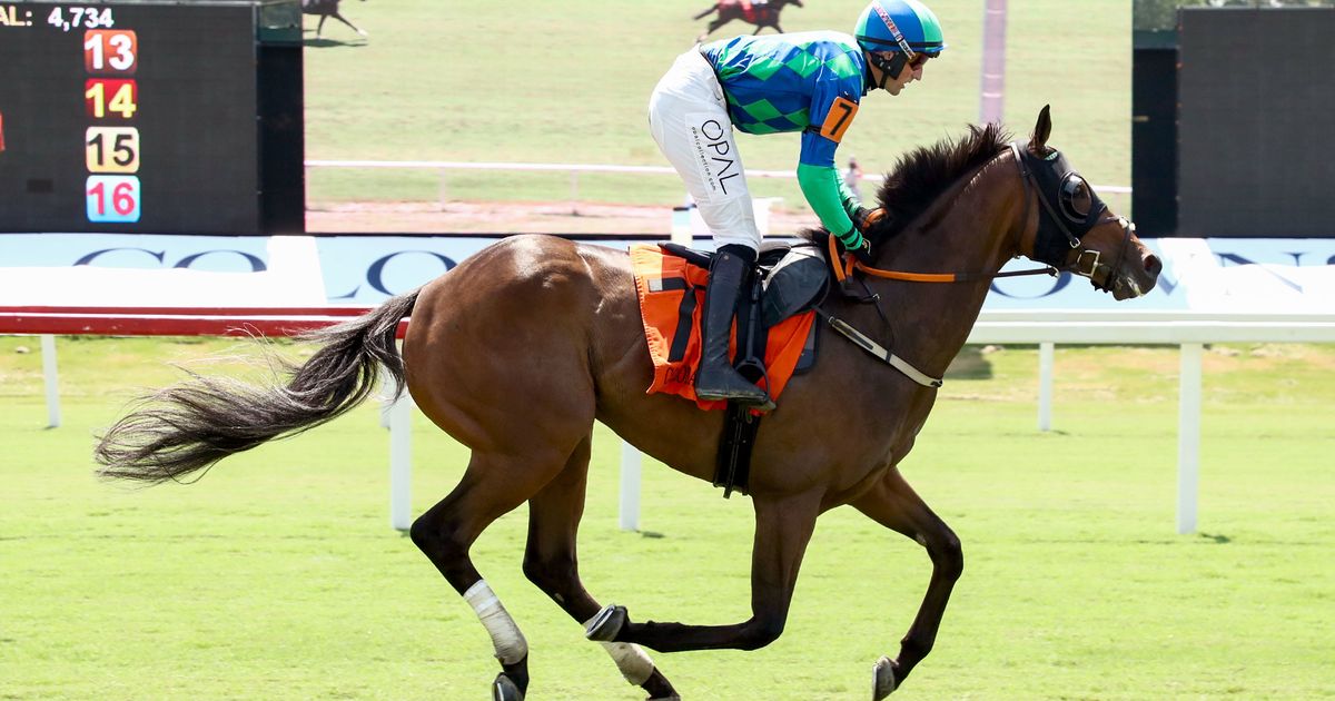 DRF's Horse Racing Playbook for Wednesday, Sept. 2, 2026
