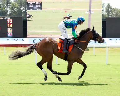 DRF's Horse Racing Playbook for Wednesday, Sept. 2, 2026