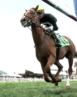 Breeders' Cup Juvenile Turf: How's Al Today's rapid ascension puts him atop the contenders