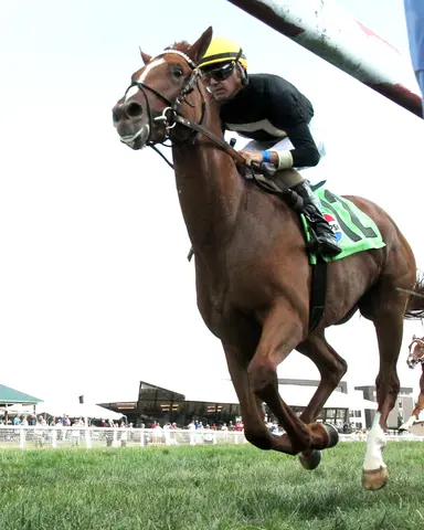 Breeders' Cup Juvenile Turf: How's Al Today's rapid ascension puts him atop the contenders