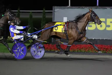 Woodbine Mohawk Park:  Francent N wouldn't be denied in Milton Stakes final