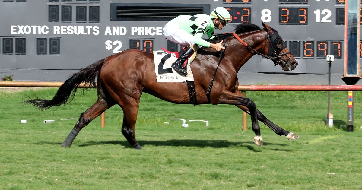 Brilliant Berti powers home with blinkers to win Green River Island Stakes