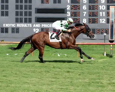 Brilliant Berti powers home with blinkers to win Green River Island Stakes